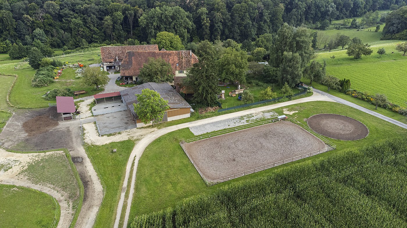 Luftaufnahme Reitplätze und Paddocktrail