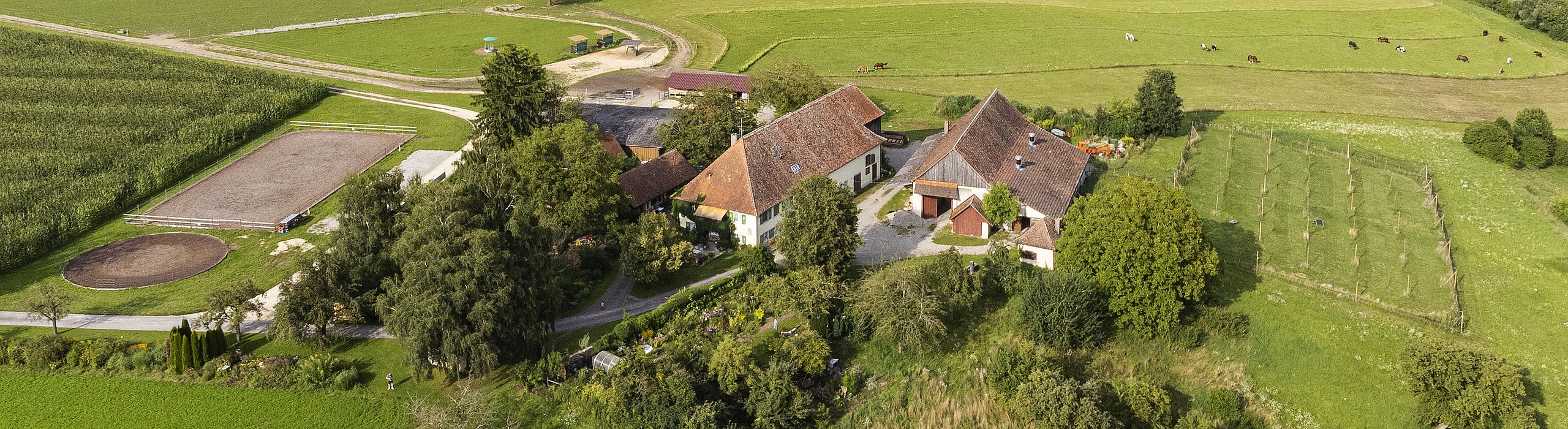 Luftaufnahme Riederhof Hilzingen