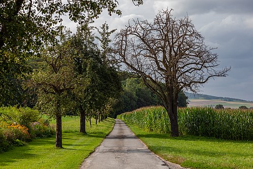 Hofzufahrt