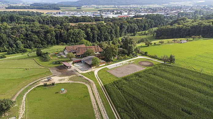 Luftaufnahme Hof, Reitplatz, Weideflächen, Trail