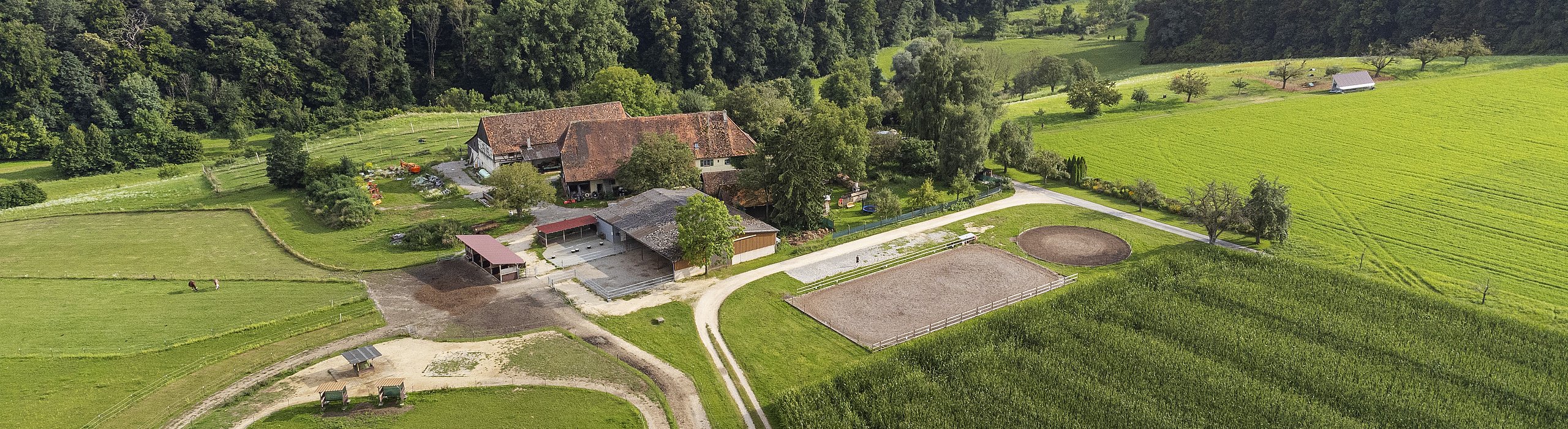 Luftaufnahme Riederhof Hilzingen